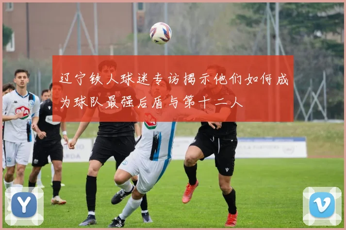 辽宁铁人球迷专访揭示他们如何成为球队最强后盾与第十二人